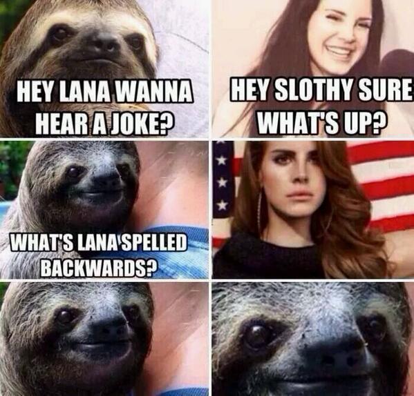 Adis_Momma's tweet image. #RapeSloth 😂😂
