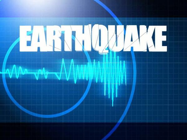 Seismic Retrofit tweet media