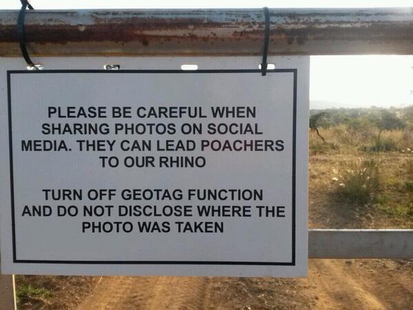WWFSouthAfrica's tweet photo. Did you know geotagging photos could endanger at-risk animals by helping poachers locate them? http://t.co/xaUo8Uht7T http://t.co/oDF4IcPvlM
