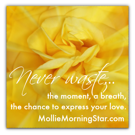 M_Morning_Star's tweet photo. Never waste...the moment, a breath, the chance to express your love. http://t.co/HvikhS3Fwu