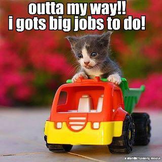 Heigh Ho Heigh Ho It S Off To Work We Go Cheezburger