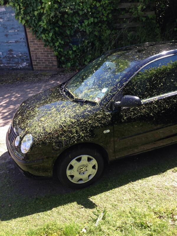 bare_sam's tweet image. I told you not to park outside when I'm mowing the lawn. Didn't i.