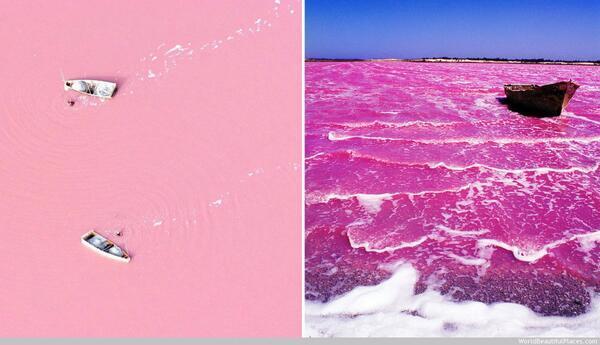 NaturPictures's tweet photo. Existe un lago natural color rosa llamado 'Lago Retba ",
se encuentra en Senegal, África Occidental. http://t.co/u08LfScKS3