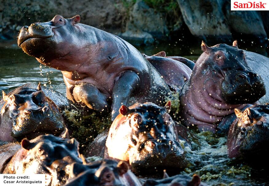 Embedded image permalink