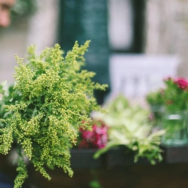 PEventions's tweet image. #inspiring past #events #weddings #platinumeventions