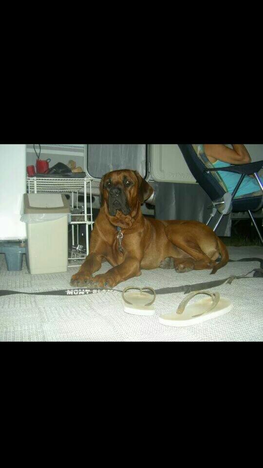 Daaaamiann's tweet photo. Rust zacht lieve Spock.. ik ga je missen :( 😣 http://t.co/NaO975FuMe