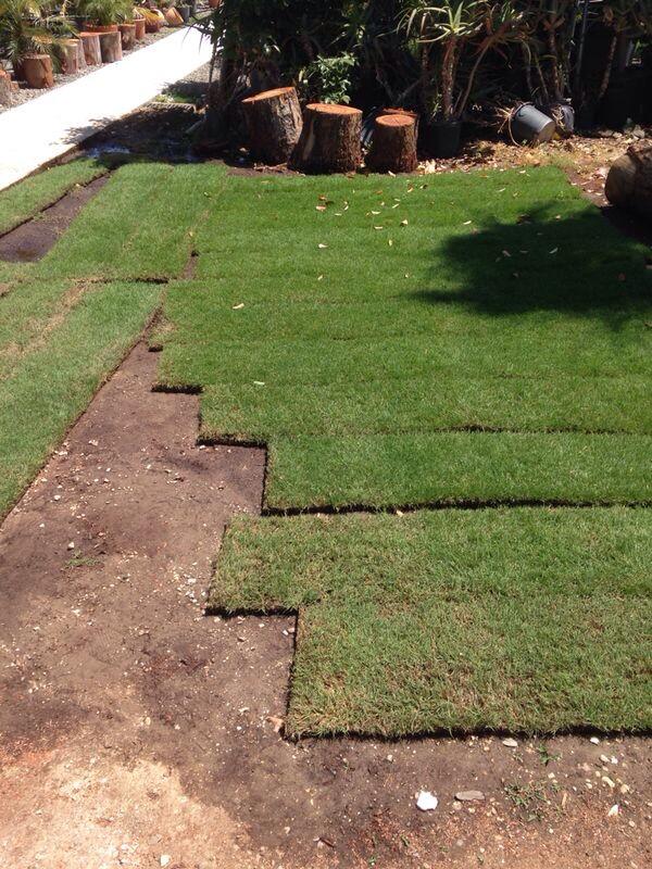 Esspora's tweet image. Creamos tu pradera de cesped con planchas de Tepe, tu cesped para disfrutarlo de inmediato.