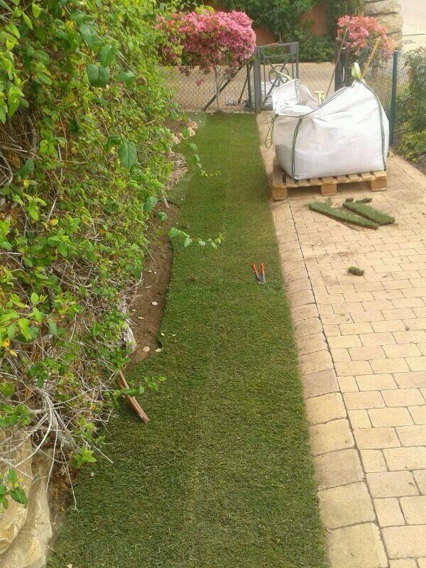 Esspora's tweet image. Creamos tu pradera de cesped con planchas de Tepe, tu cesped para disfrutarlo de inmediato.