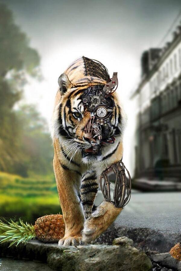 GassertYa tweet picture