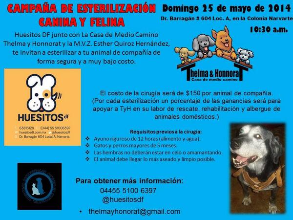 HuesitosDF's tweet photo. Les tenemos una buena noticia, campaña de esterilización a favor de @ThelmayHonorat
Info aquí: http://t.co/KCQTnOPCyr http://t.co/s0dGazHSQg