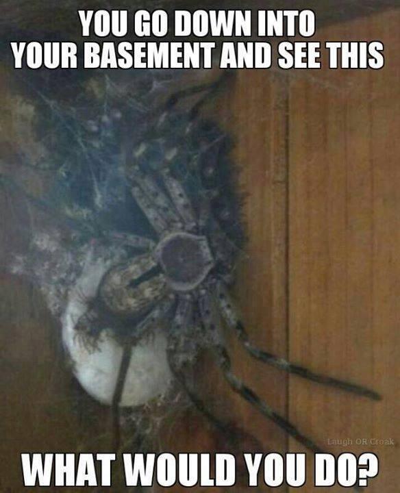 iMoanAyePapi's tweet photo. So what would you do ??? http://t.co/wpEdmLBwq6