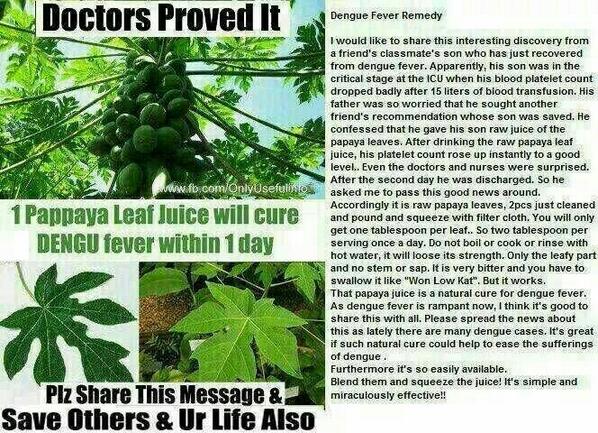 benitial's tweet image. CHEAPEST DENGUE CURE
---
Sent by WhatsApp