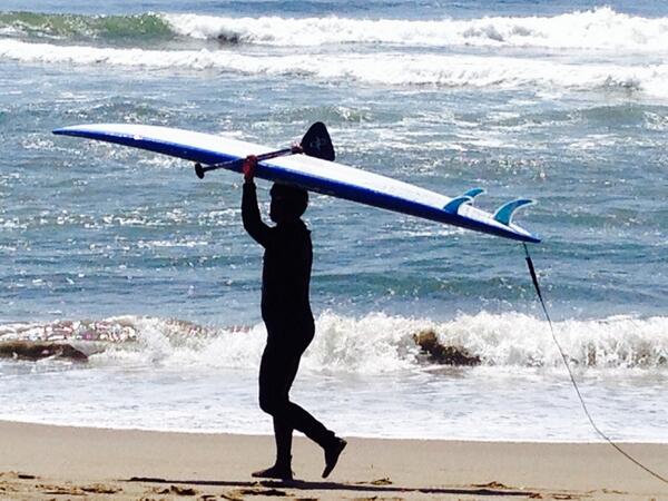 Web Biennial tweet media