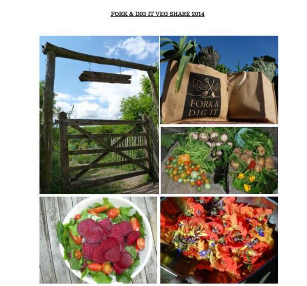 Fork And Dig It tweet media