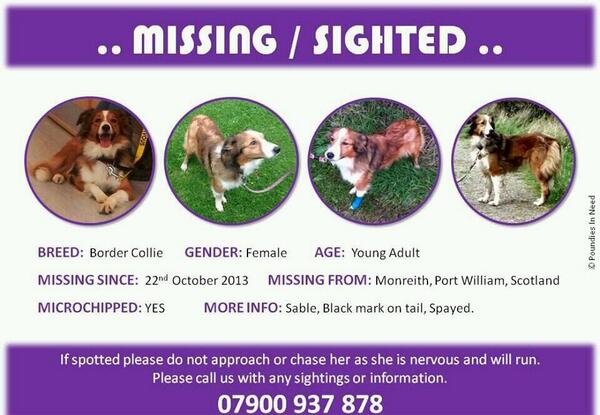 Please look for #skye still #MISSING  in #Monreith  #glenluce #wigtown #whithorn #kirkcowan #kirkcudbright area TYVM