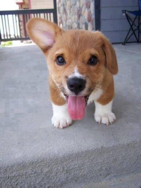 VarettaMerRan's tweet photo. Amazing baby http://t.co/dV0knVEtGr