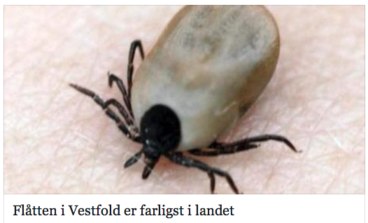 rikkeaskersrud tweet picture