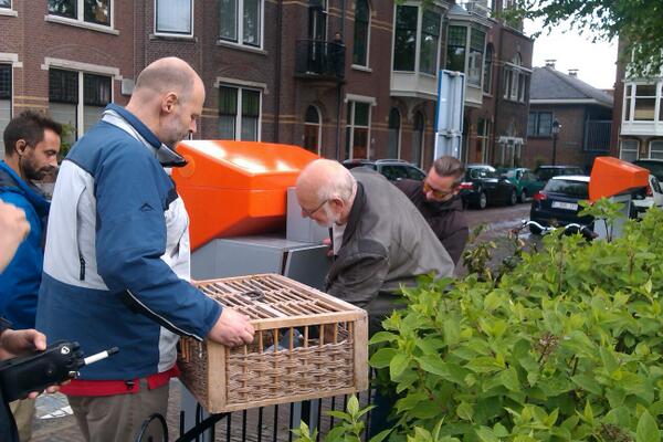 merelbrouwer tweet picture