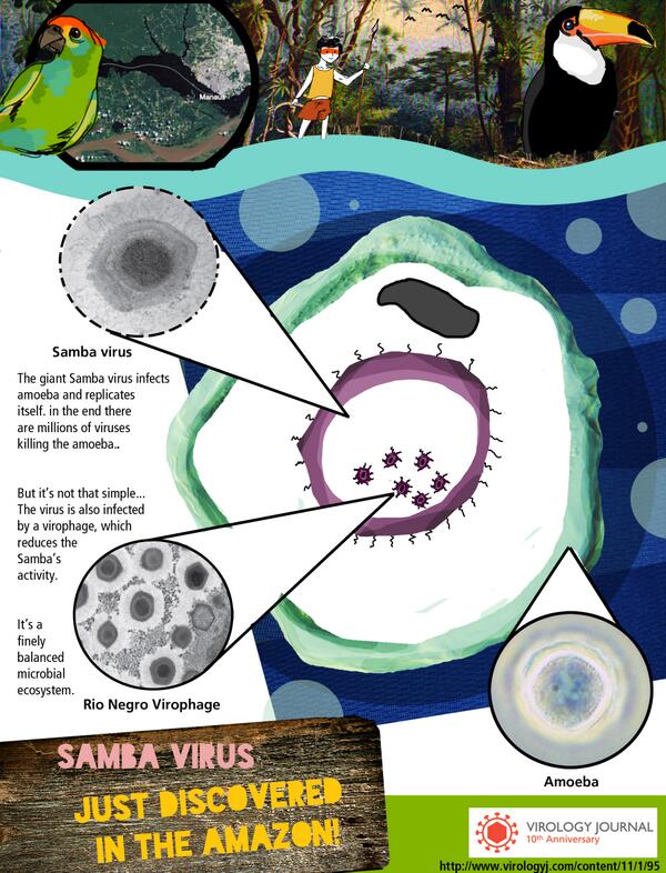 Samba virus discovered in the Brazilian Amazon #Brazil #giantvirus #ecology blogs.biomedcentral.com/bmcblog/?p=259…