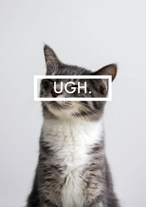 byjono's tweet photo. Current mood http://t.co/UuhbrdNzkT