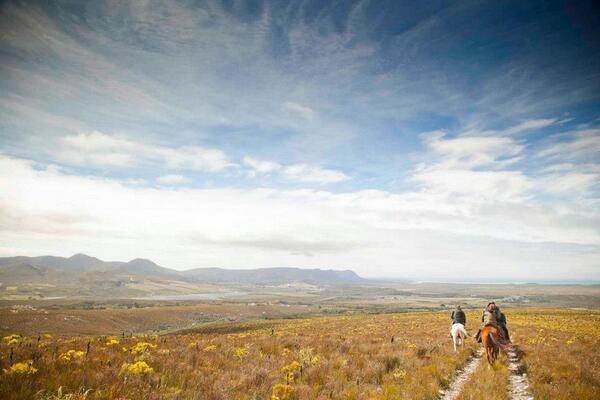 Just returned from a ride in the reserve. Autumn is best for outrides africanhorseco.com