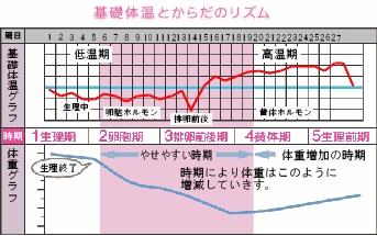 綺麗に痩せ隊 Twitterissa 痩せやすい時期 痩せにくい時期 女性にとって生理が終わって1週間から10日間は痩せやすい時期 ダイエットを頑張るならこの時期だよ 逆に 生理の10 日前ぐらい 生理までが最も痩せにくく太りやすい時期 T Co 96tgox18sp