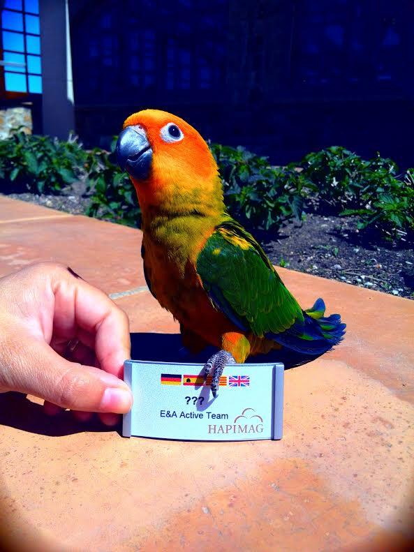 Hola!Soy el chico nuevo! Aun no tengo nombre.Me ayudáis?
Hi! I'm the new guy!I don't have a name yet!Can you help me?