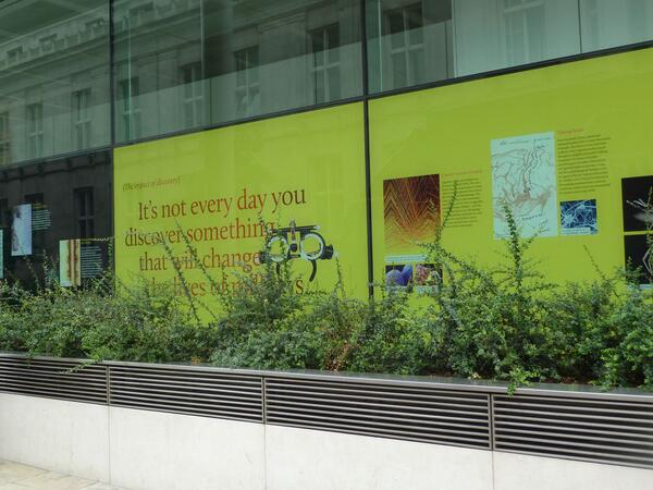 alphacabbage1's tweet image. Discovery of the day: green stuff can grow. :) #learningbyexample