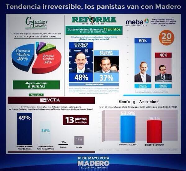 GenovevaHuerta's tweet photo. Tendencia irreversible gana @GustavoMadero sobre @ErnestoCordero @QRooconMadero @osorio_karime #QuintanaRoo http://t.co/rRmRgmPnbV