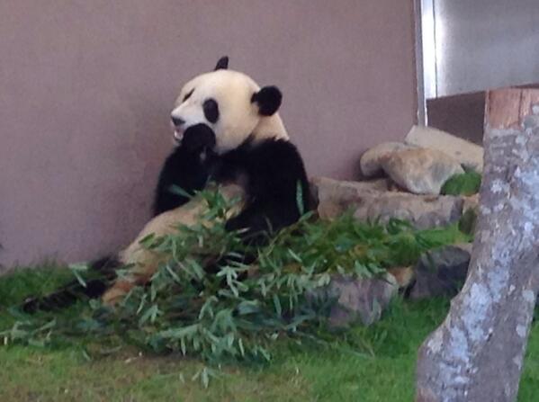 SERAPI_J's tweet photo. でも優浜が一番かな？ http://t.co/lv0S5f1jPj