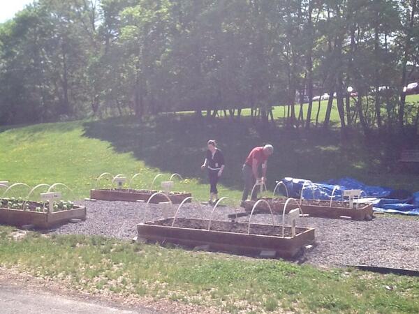 shfirstgrade tweet picture