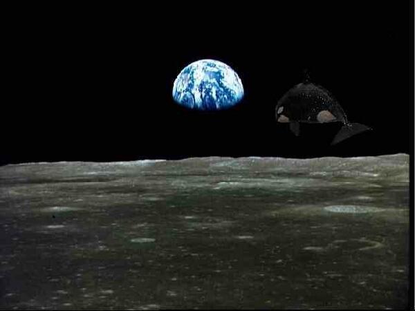 Willzyx Hashtag On Twitter