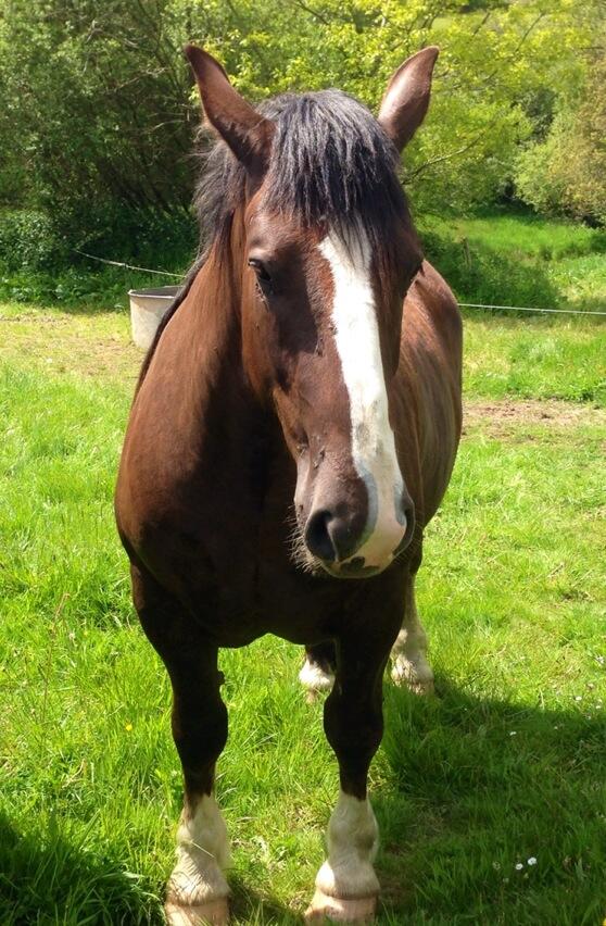 Permalien de l'image intégrée