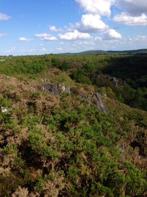 Permalien de l'image intégrée
