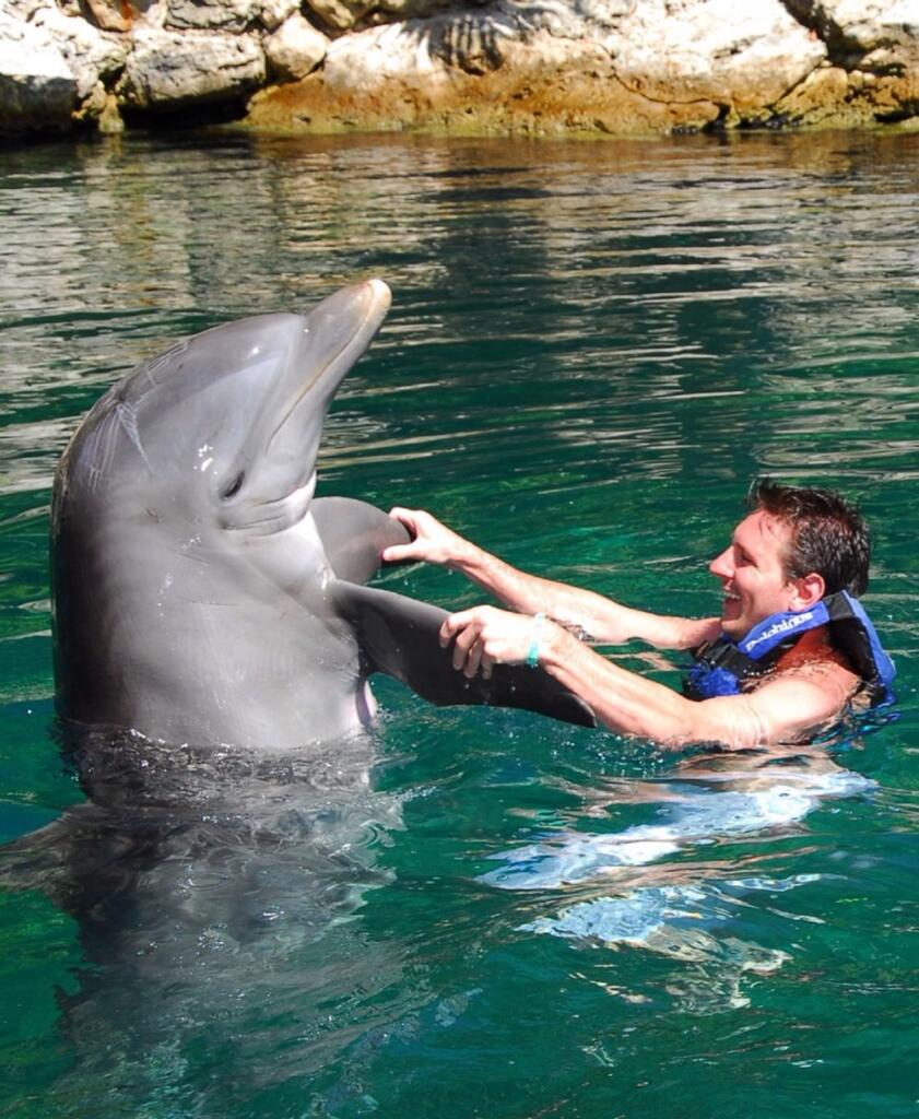 BnnQfJ5IcAE5ggU.jpg:large