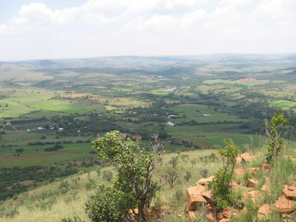 Overlooking <a href="/BristleConeNurs/">Bristle Cone Nursery</a> and the Cradle of Humankind beyond.