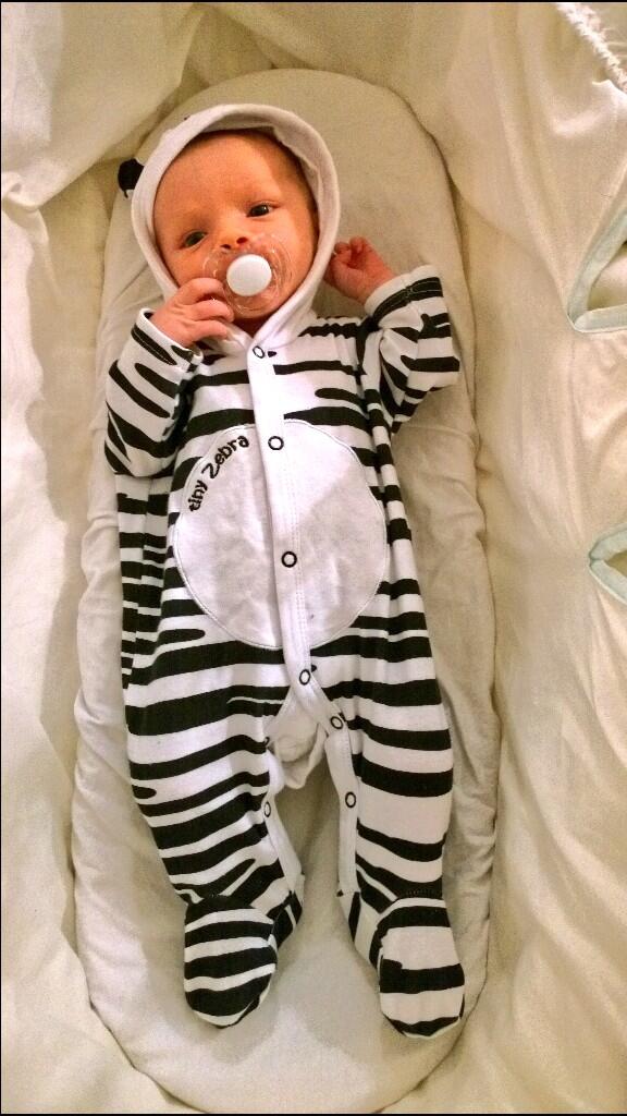 Kate Royle (@kateainsworth) | Twitter