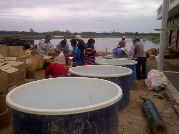 Luis Alvarado Guaman (@lag_1961) on Twitter photo 