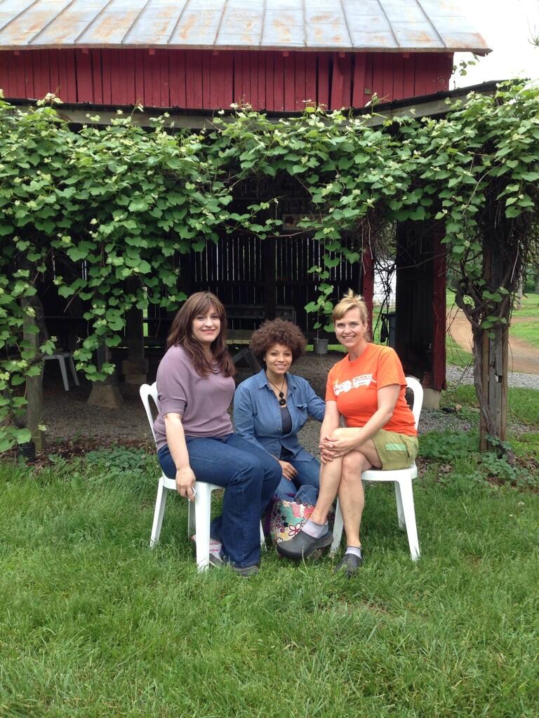 Embedded image permalink