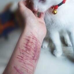 fallingdown96's tweet image. 