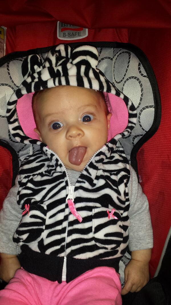 KathyCodling's tweet image. Love my new g-baby J!!! #lizardlizard