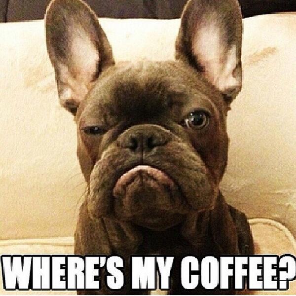 PTSchoolProbs's tweet image. Happy hump day everybody! #ptschoolproblems #ptschoolprobs #HumpDay