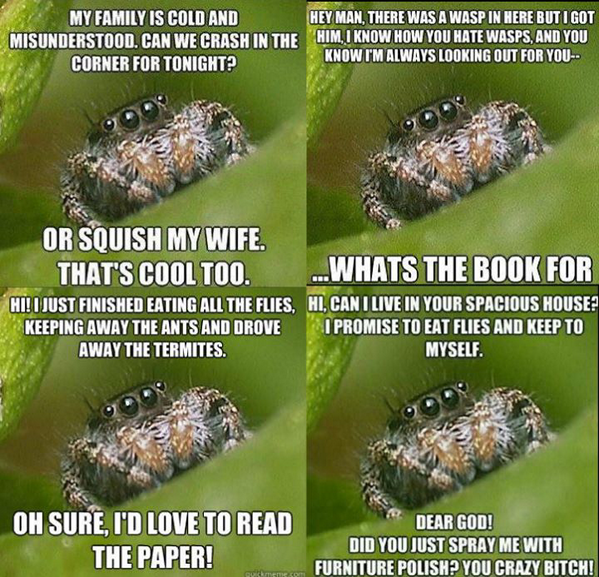 dooobe's tweet photo. Too all my friends that don't like spiders. :) http://t.co/ALcLFZhiFx