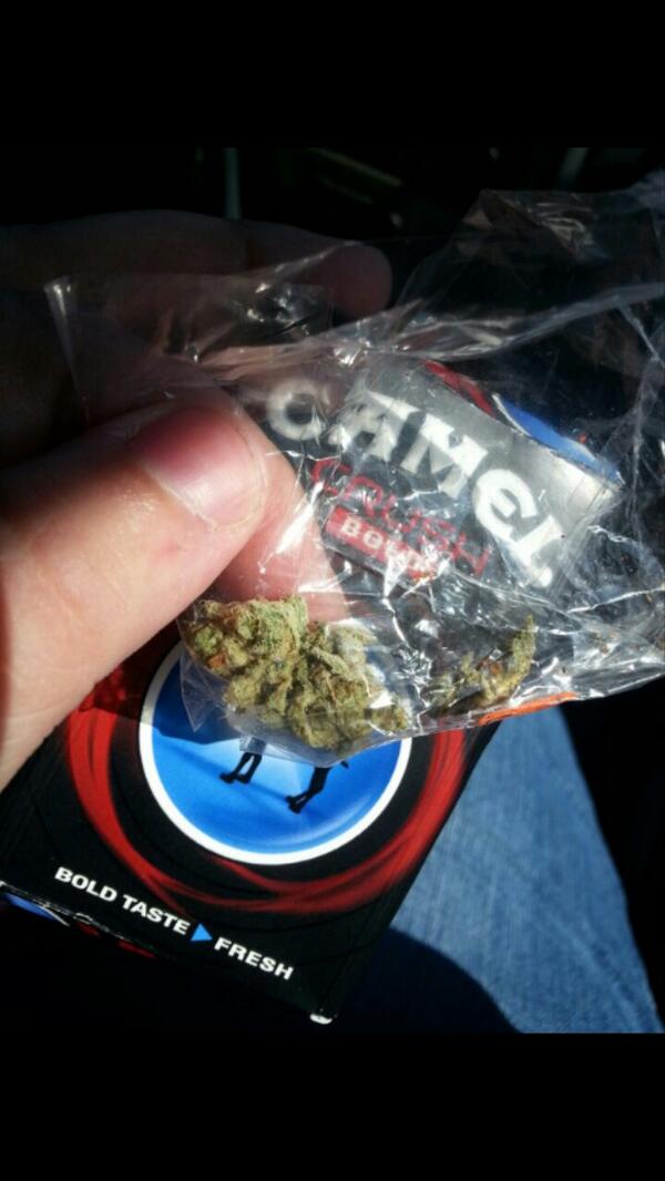 Got that northern lights #StonerProblems @Shadeofaman @SheClawYa #alaskaweed