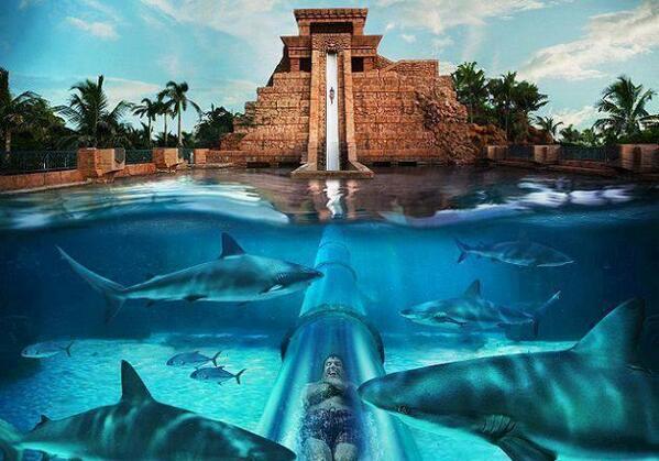 “<a href="/_Paisajes_/">Paisajes Increíbles</a>: Parque Acuático. “The Atlantis Resort Paradise Island” en las Bahamas. ”<a href="/Indariita/">Ita indari</a>