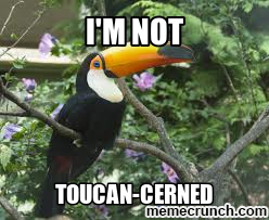 ToucanDan2's tweet photo. http://t.co/li6CAHmyUQ