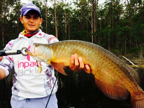 impacttackle's tweet photo. Nice Saratoga on an Impact Tackle S-Baitz. http://t.co/zPcD3frxvS