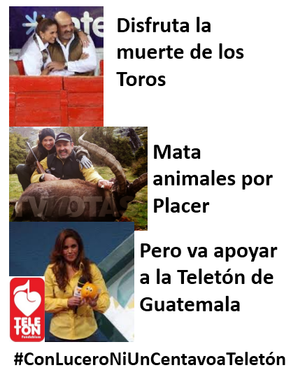 ExtraGuatemala's tweet photo. #ConLuceroNiUnCentavoaTeletón Dale RT y apoya a que no venga esta cerota a Guatemala para la @teletonguate http://t.co/pDiQGSTMZW