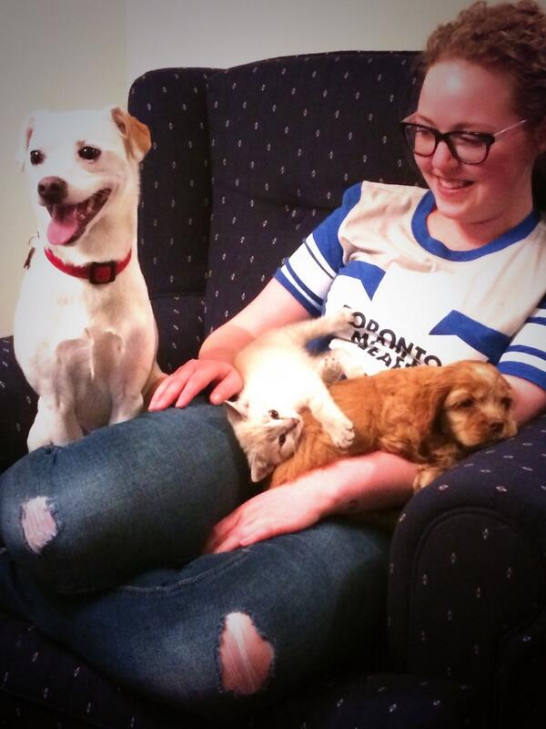 britmacquarrie's tweet photo. Newest members of #leafsnation kobi, Bella and kessella Rielly named after her favourite leafs @mriles4 @PKessel81 http://t.co/EgPgsXoUzy