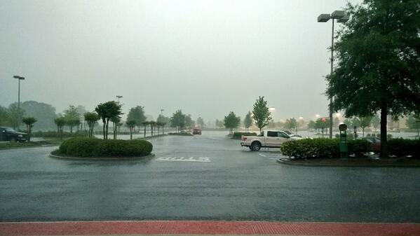 Petsmart1759's tweet photo. #inspiredbypets even in torrential downpours..... http://t.co/z1LF6Dpg73
